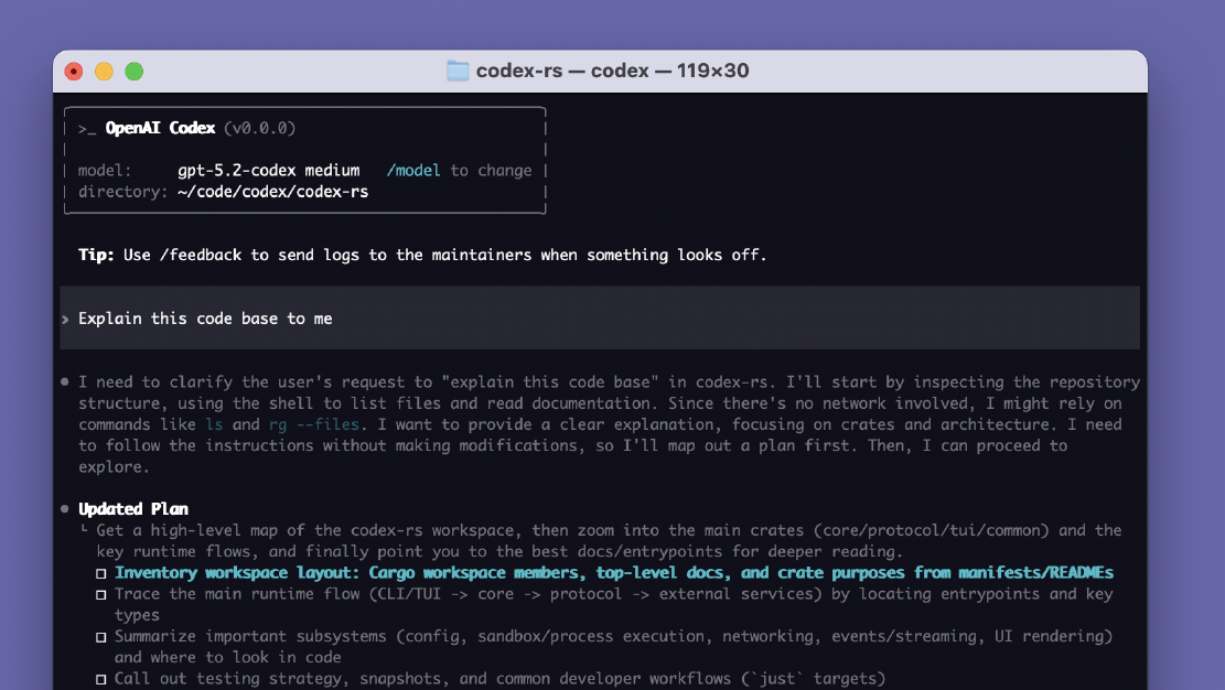 Codex CLI 介绍截图
